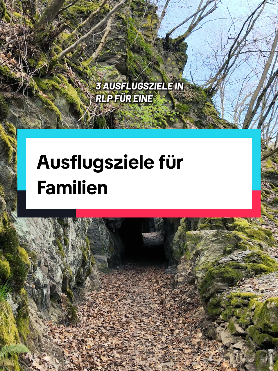 @Am Puls der Natur