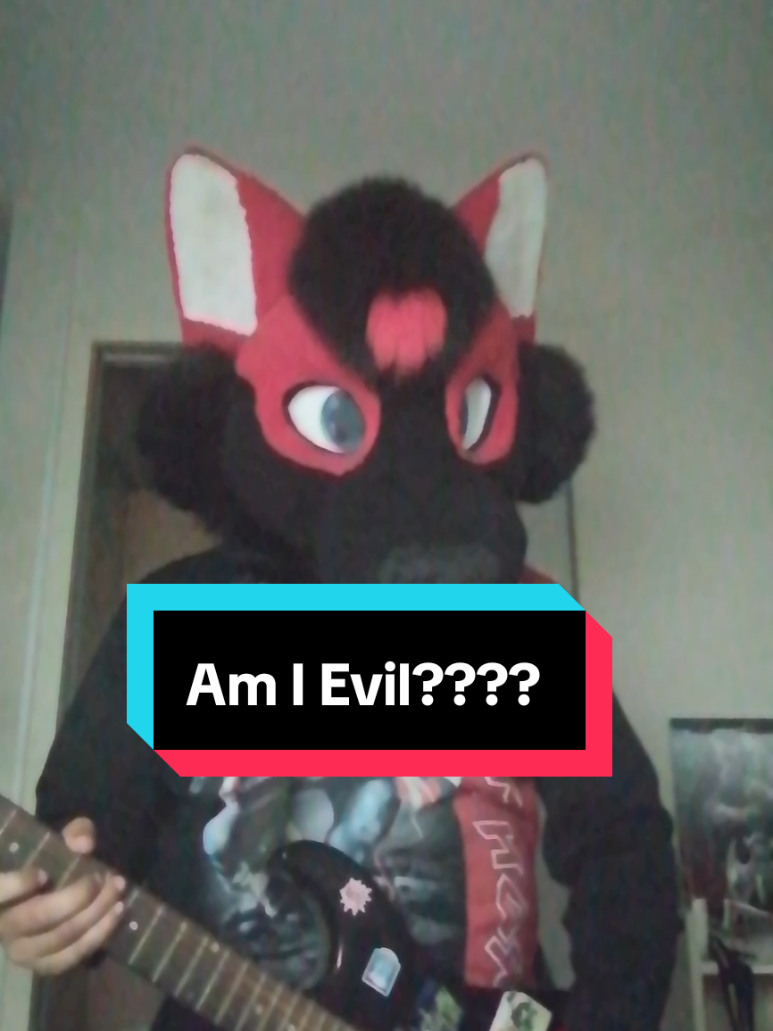 @Hikaji The Husky