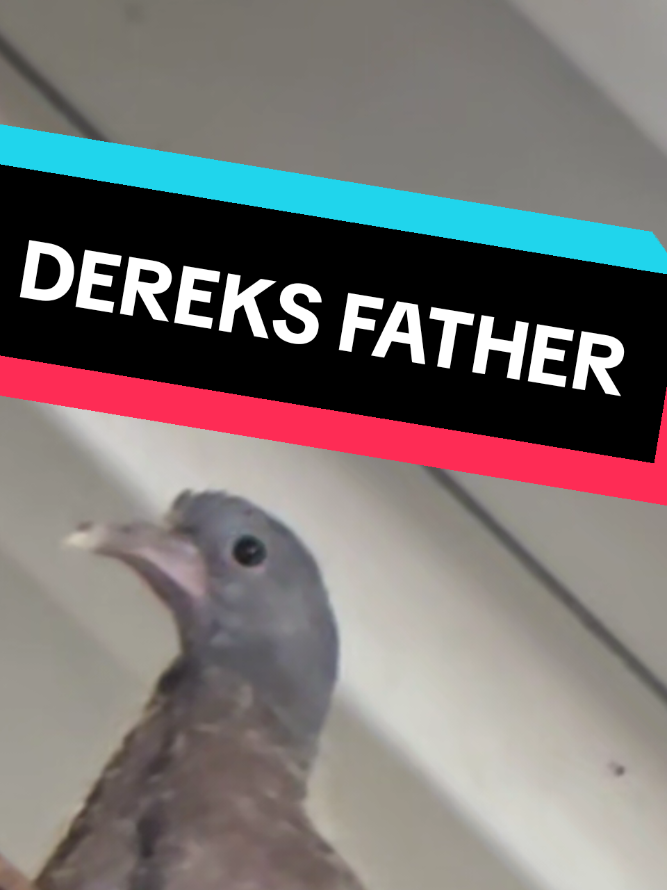 @Davetheangrytrucker