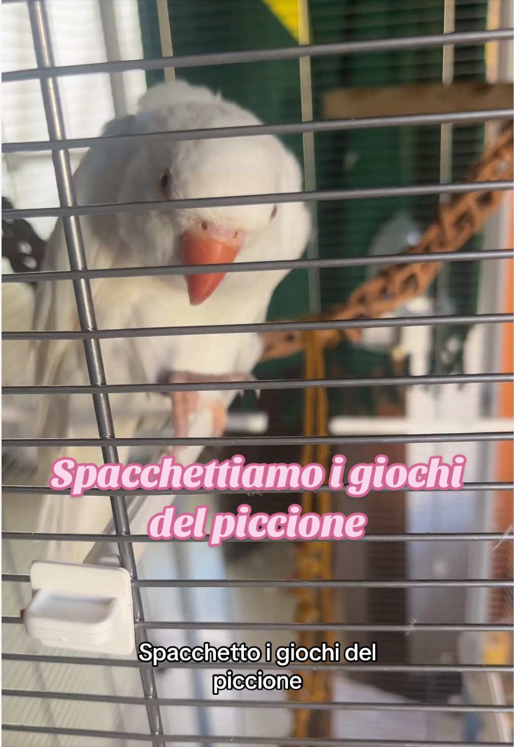 @Aliss