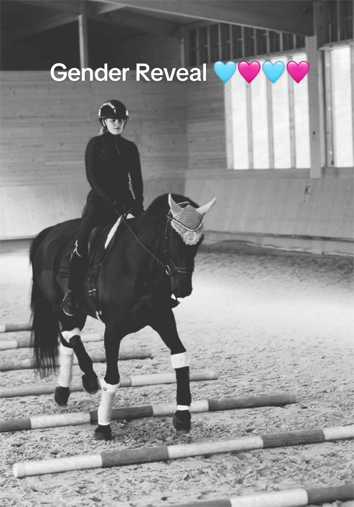 @fuerst_albert