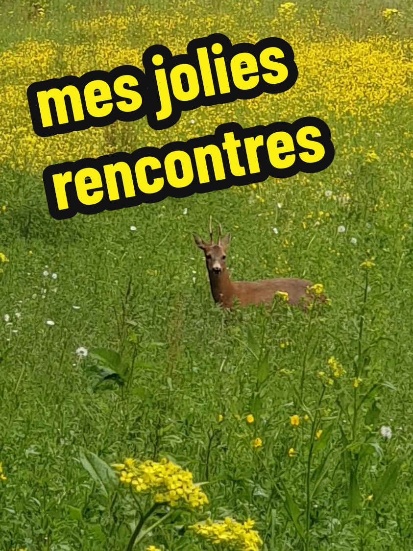 @NATURAMATERCREA