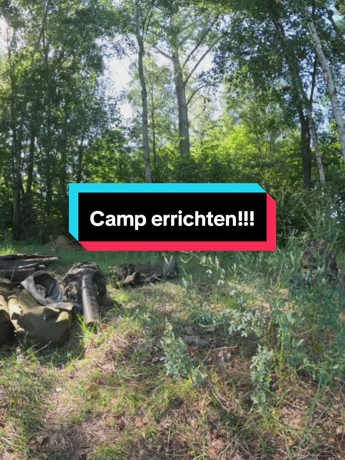 @carp_and_fun