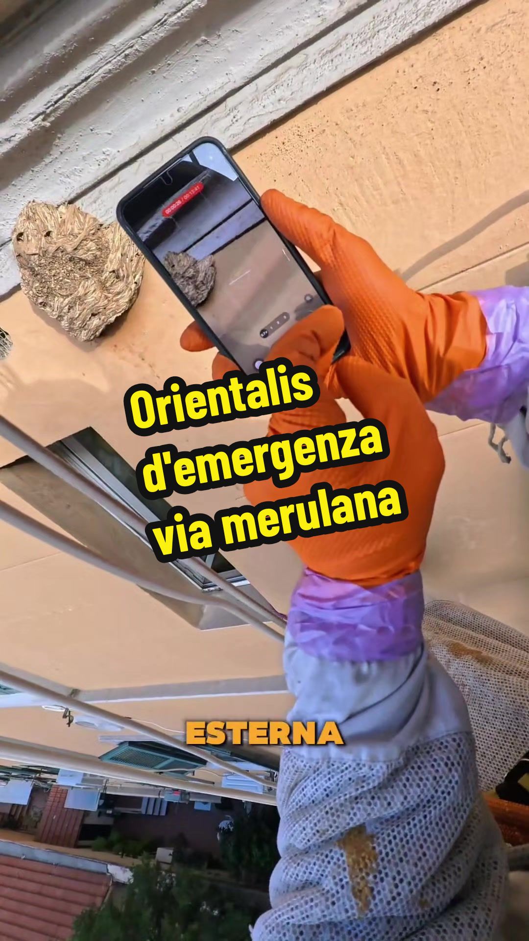 @Daniel Palmieri