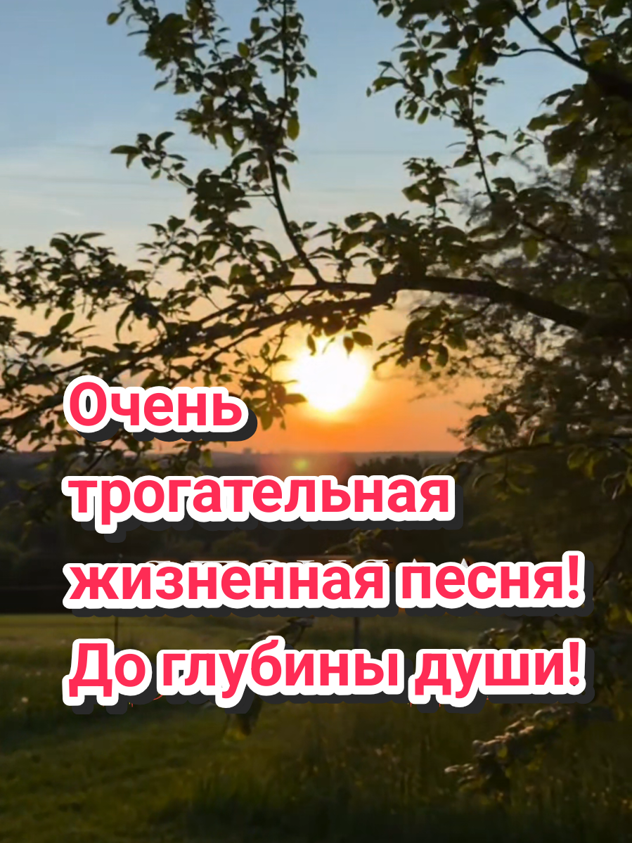@✨Елена✨