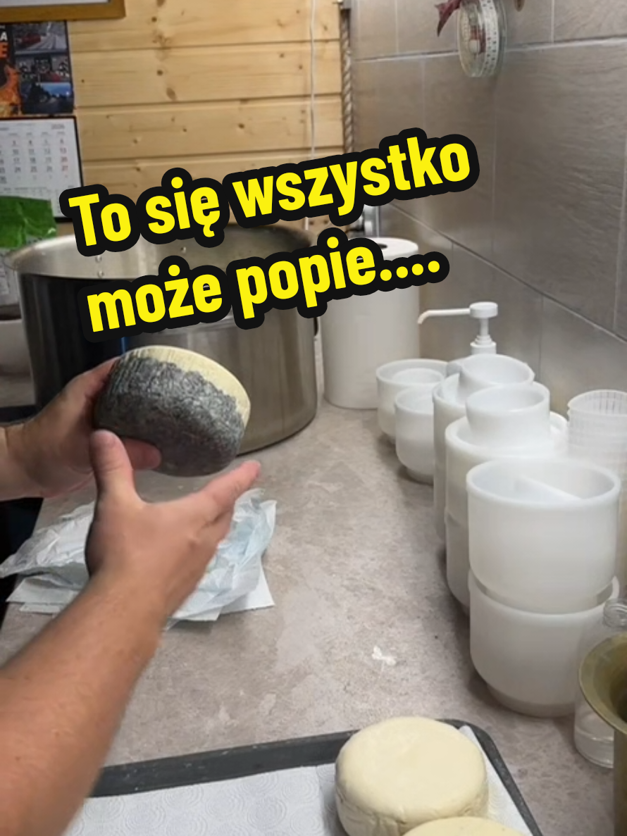 @Ania z Bieszczadzkiej Hecy🧀