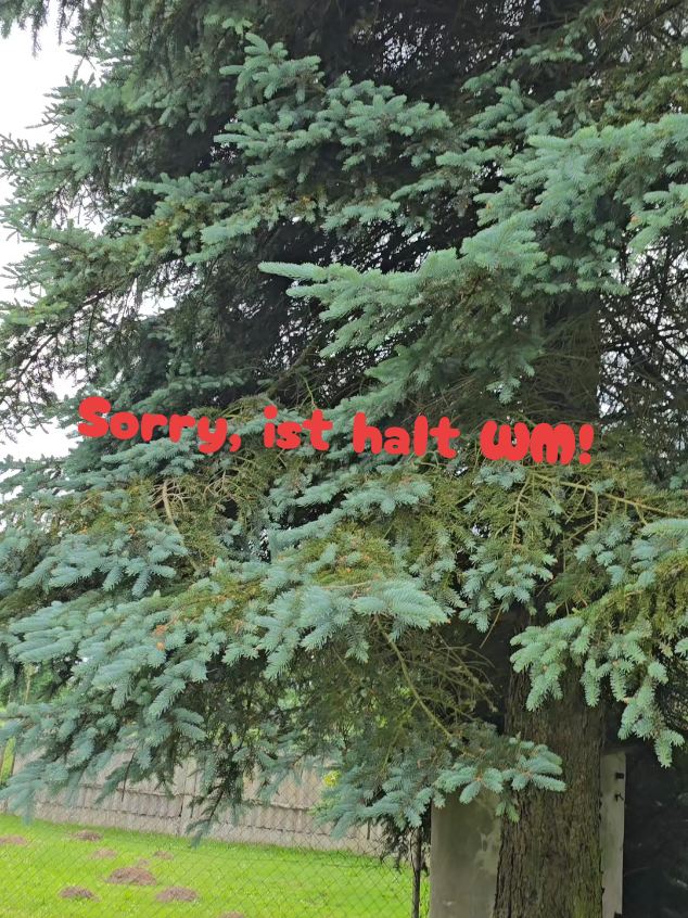 @So isses