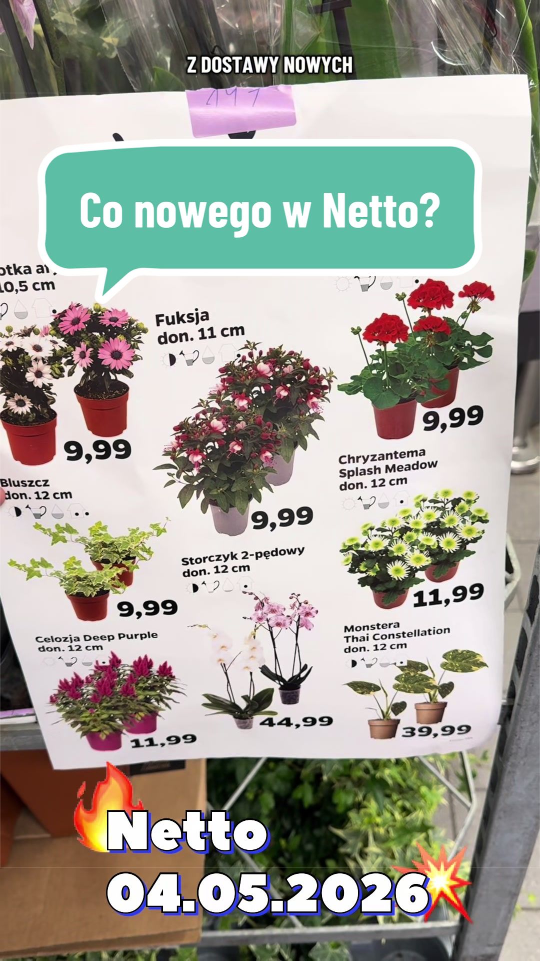 @maciej.plants