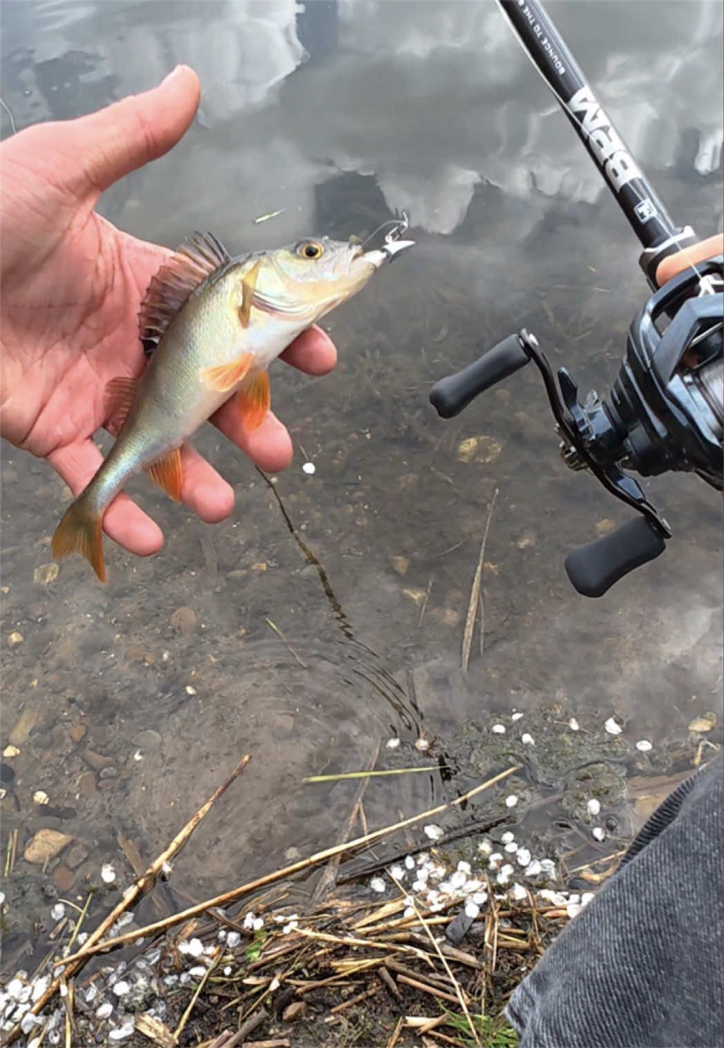 @Castandcatch