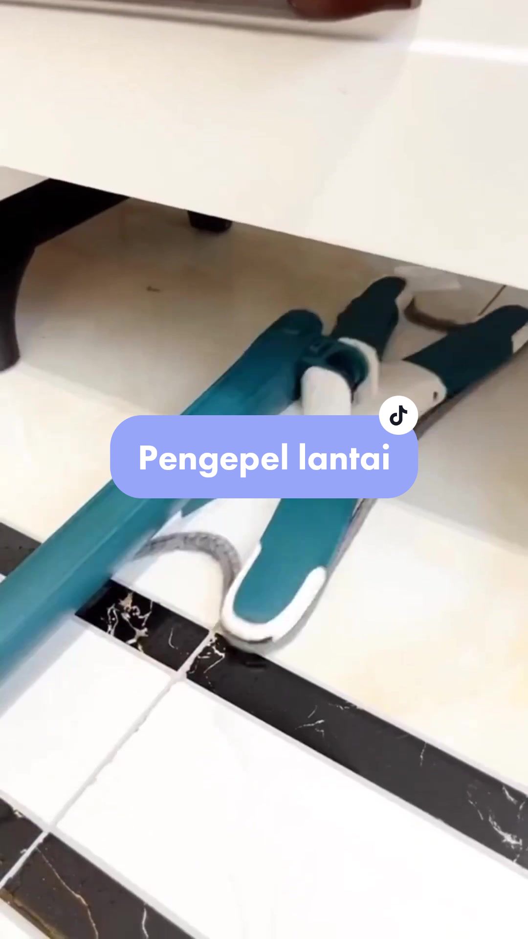 @semestaspeciosa__