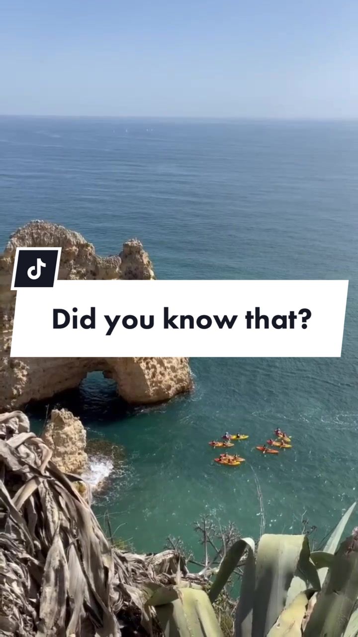 @Front-end Developer