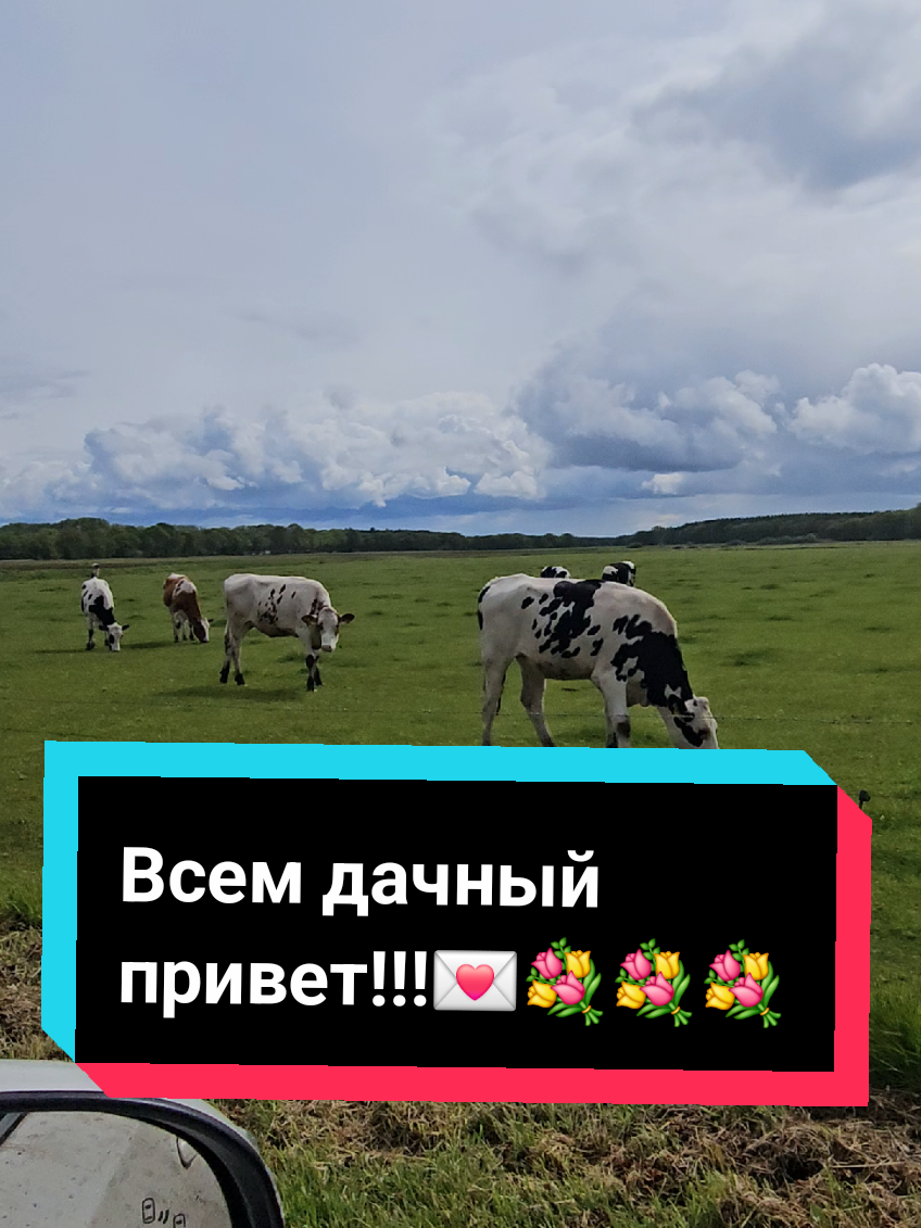 @МВ💥💥💥💥💥💌💥💥💥💥💥