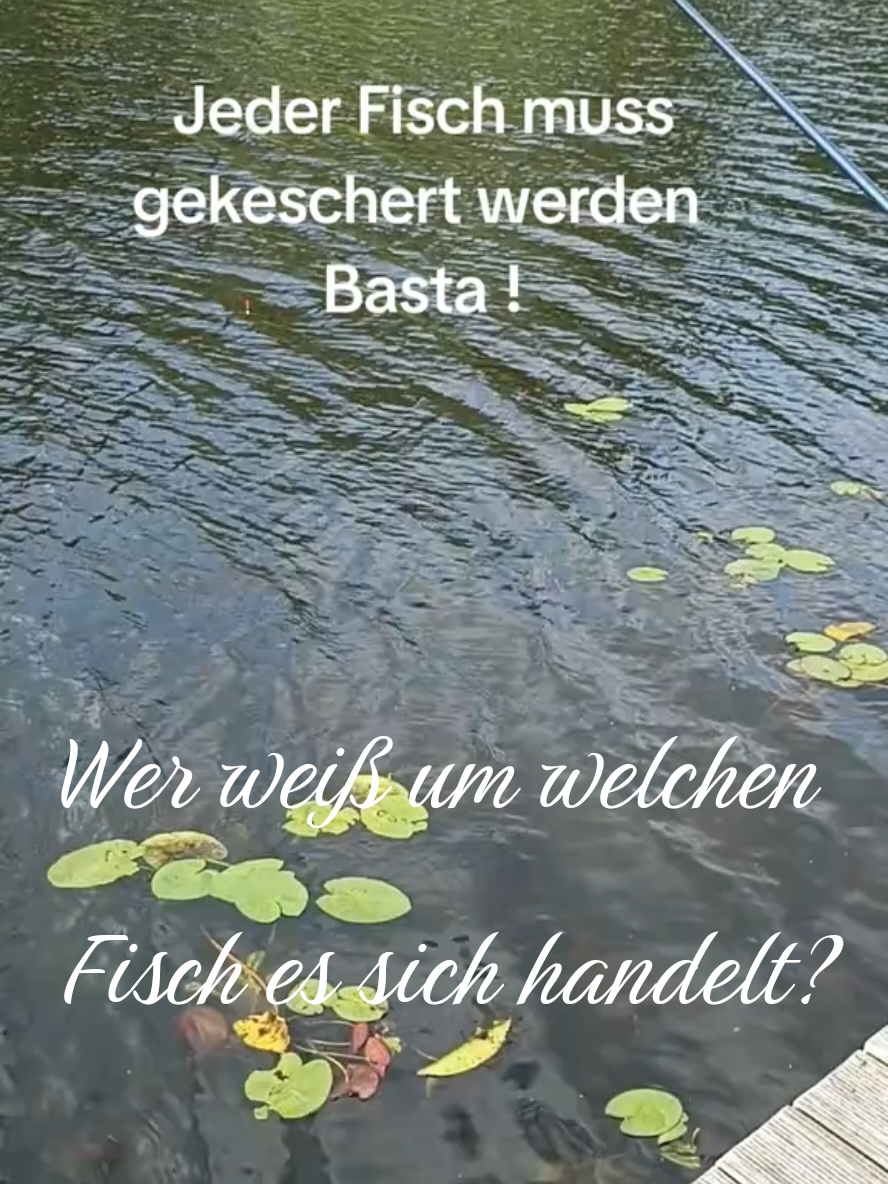 @ginaseele