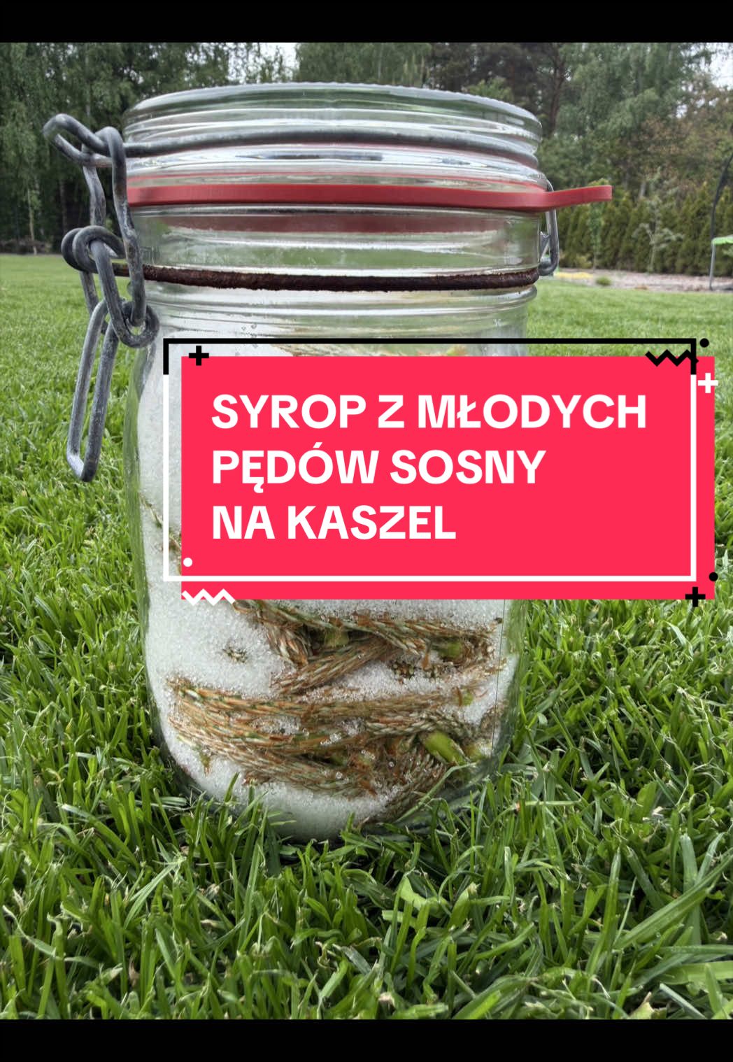 @zacznijodzdrowia.pl