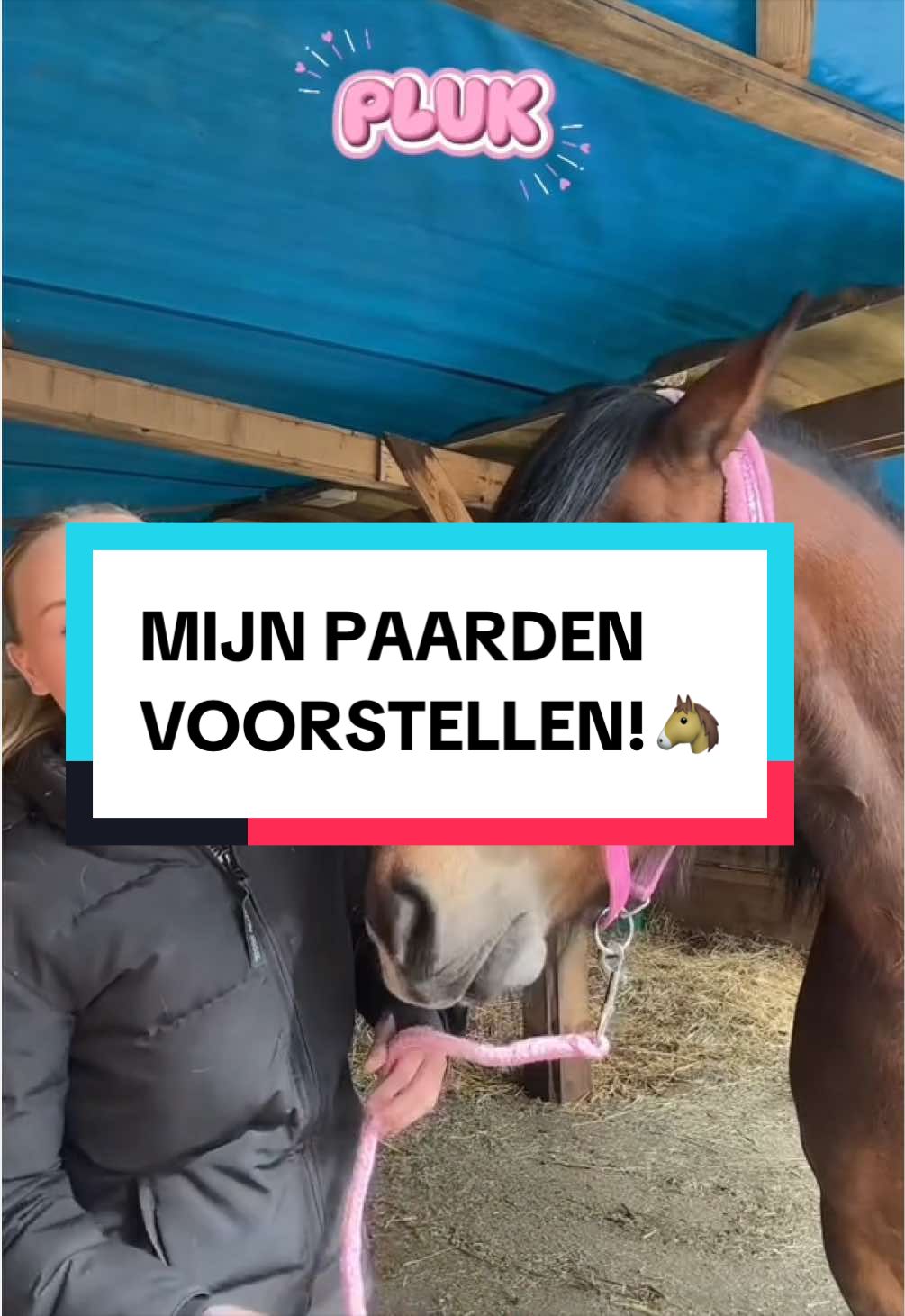 @dovda.horsemanship