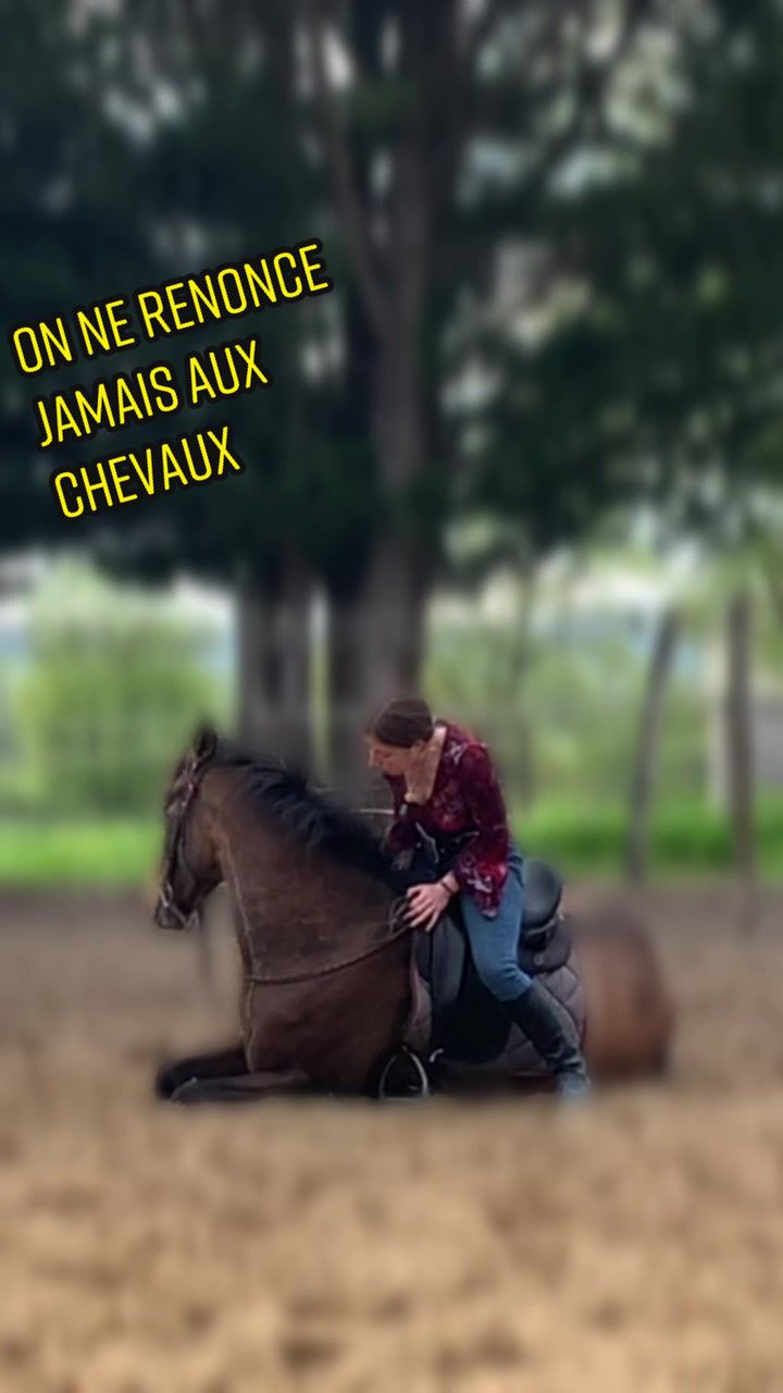 @chabzh58_sdlm