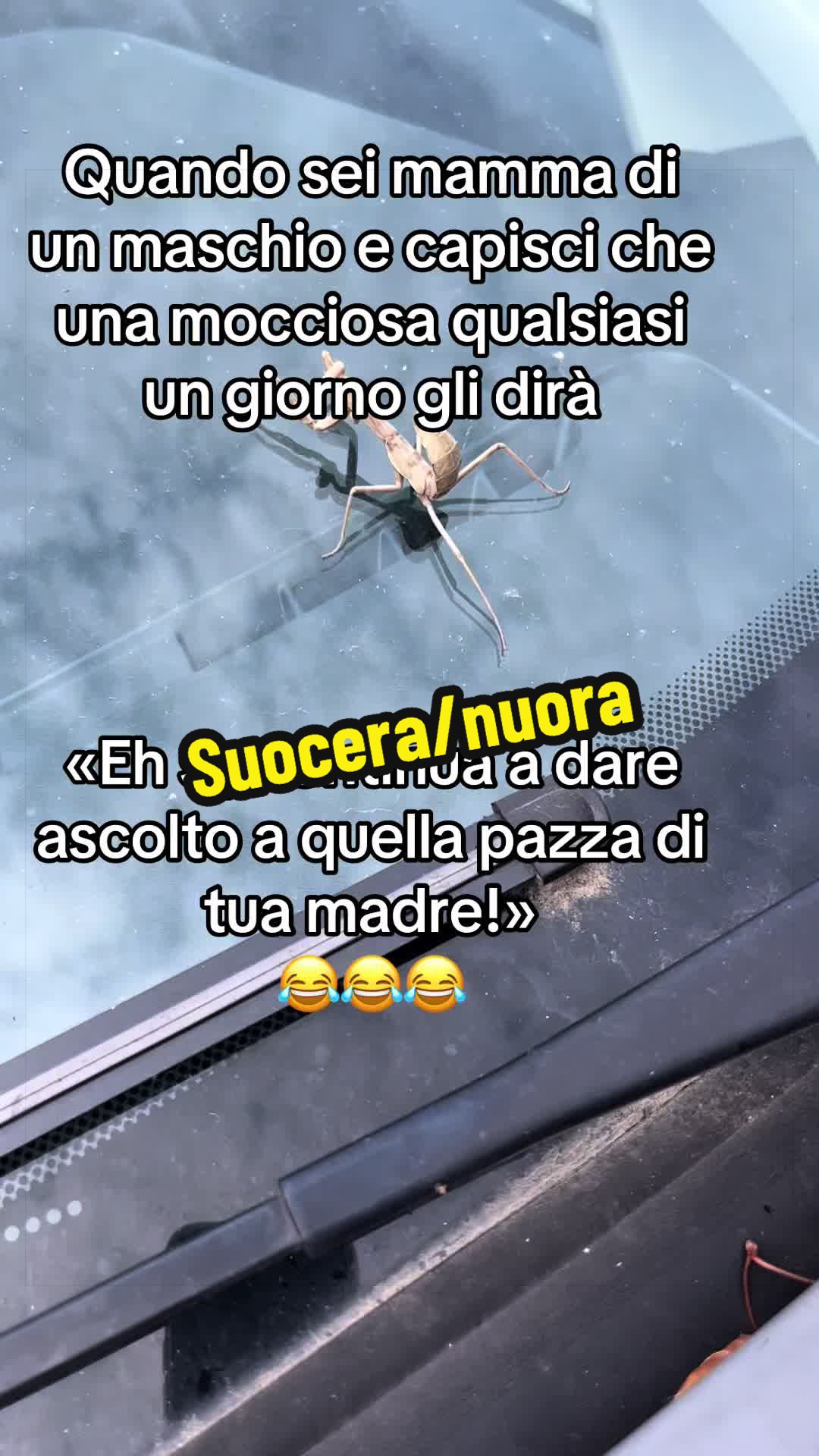 @Natali