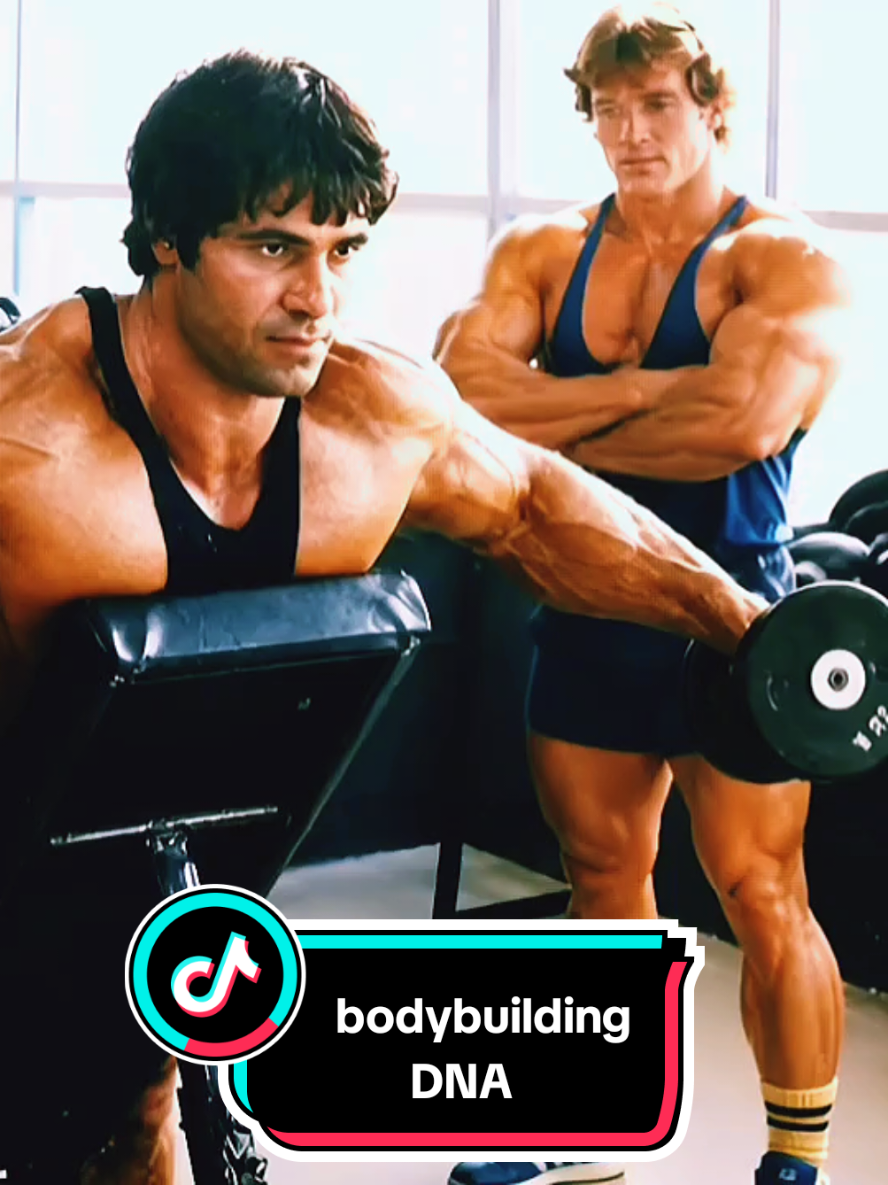 @bodybuildingDNA