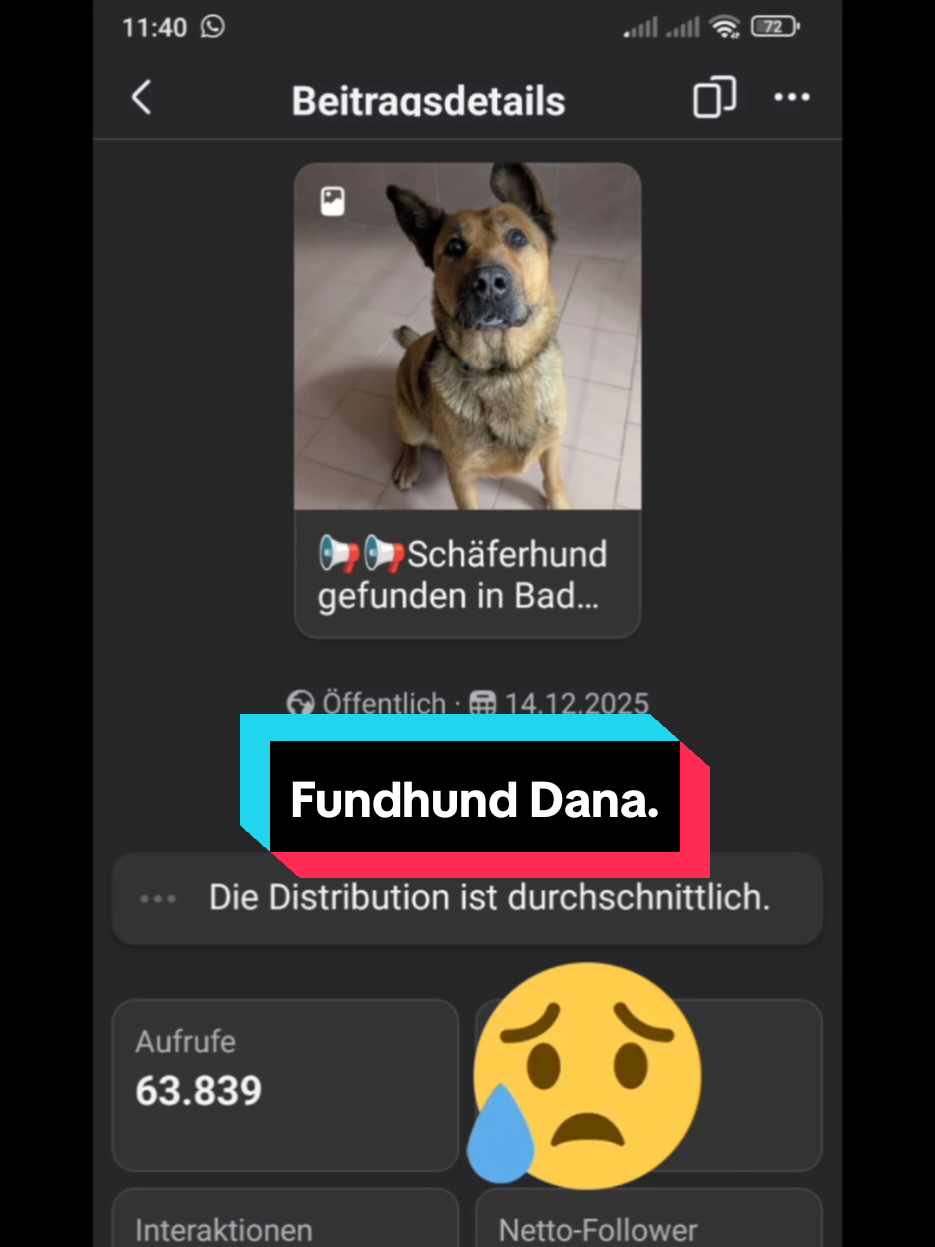 @Tierheim-Niedergrafschaft