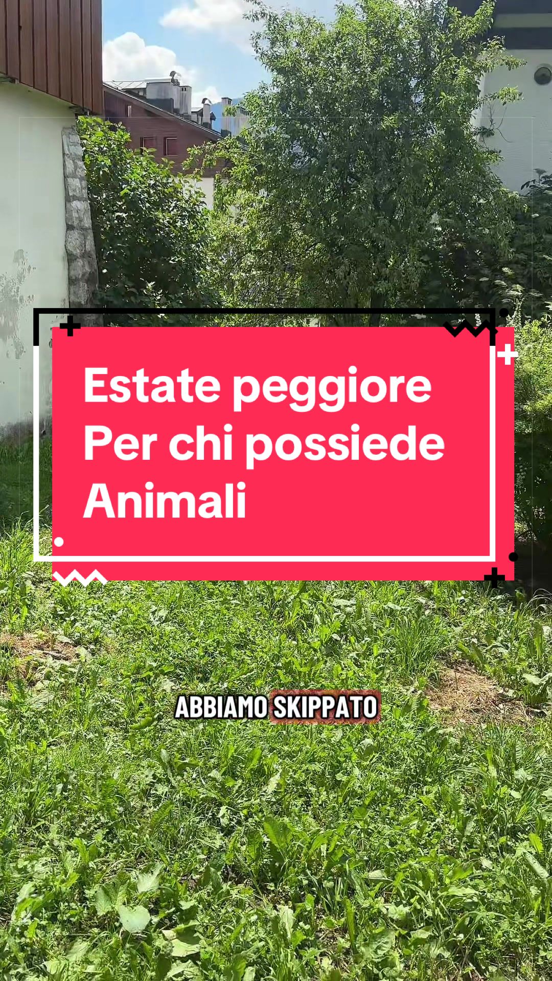 @Erica&3Zampe🐾