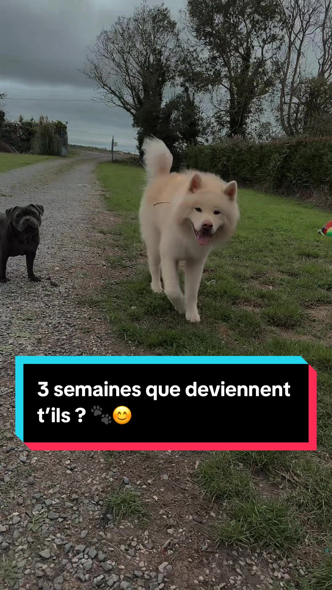 @🚛Nolwenn🚛