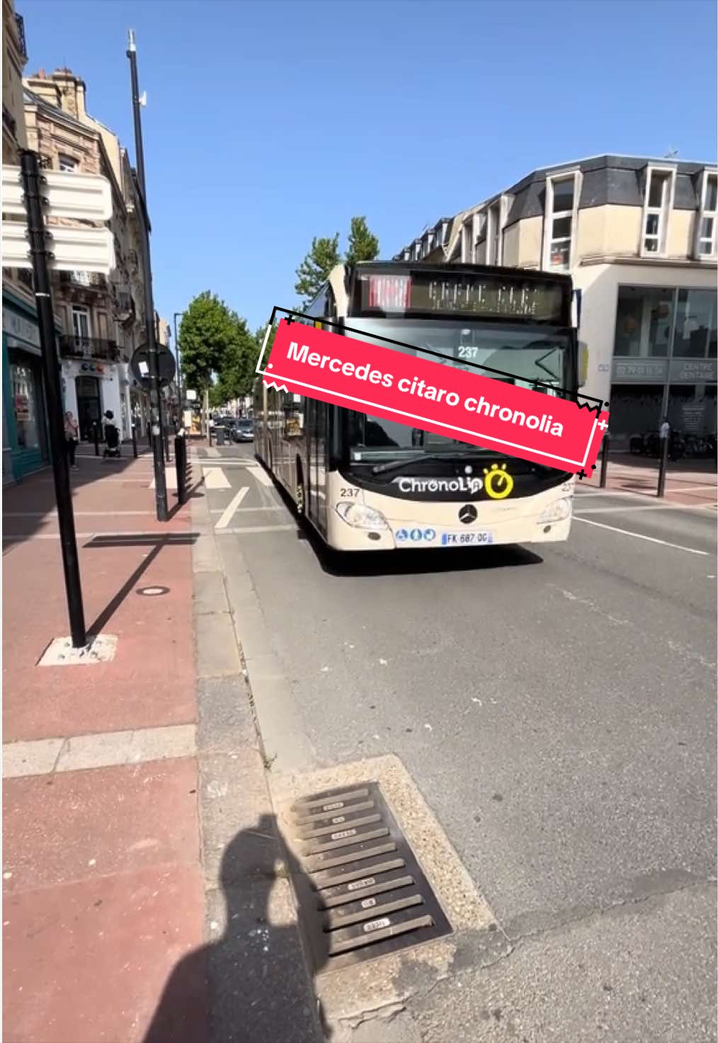 @B.U.S T.R.A.N.S.P.O.R.T 🚌🚎