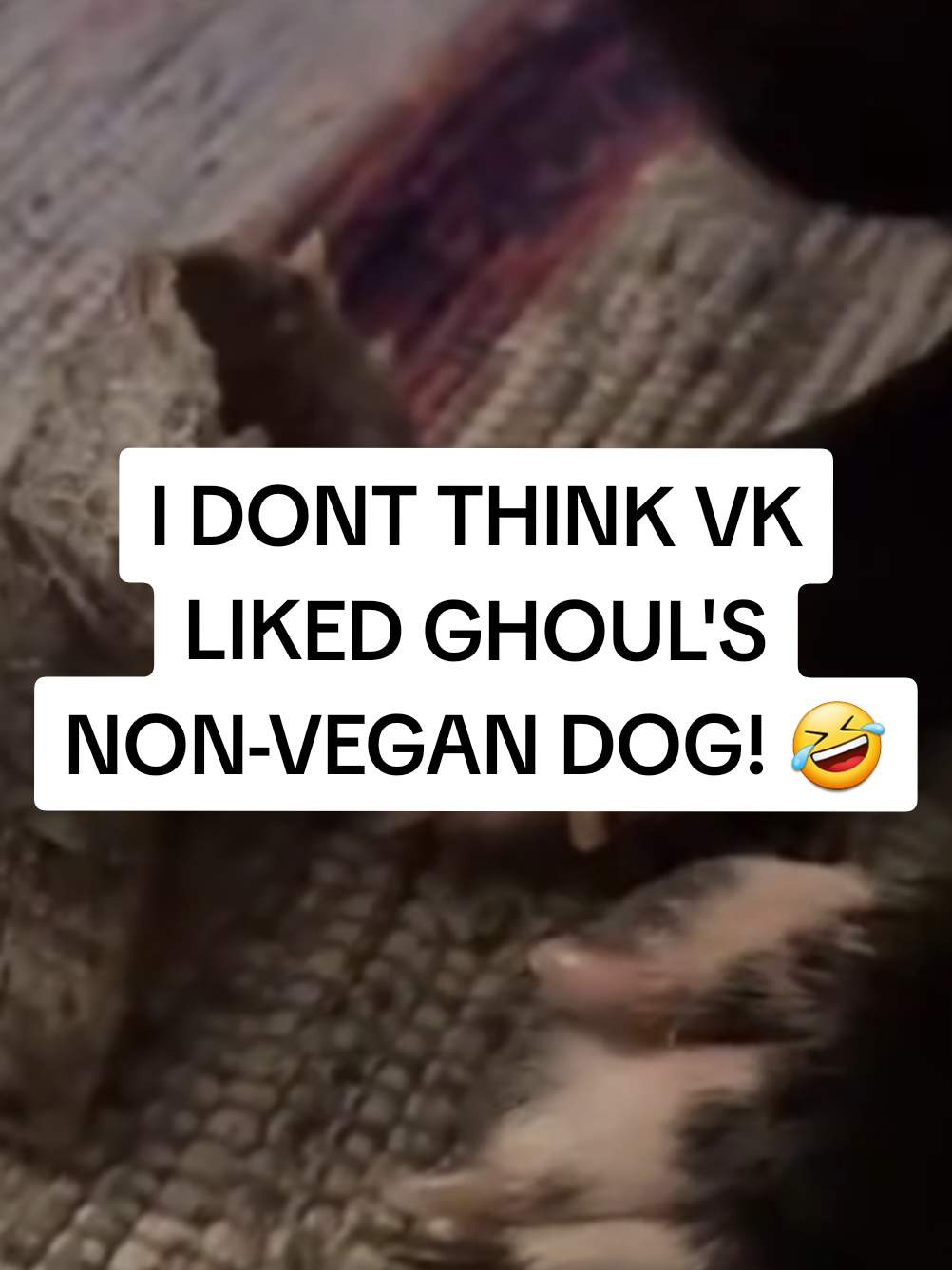 @👑🟢VK GR&pound;&pound;N Clips🟢👑