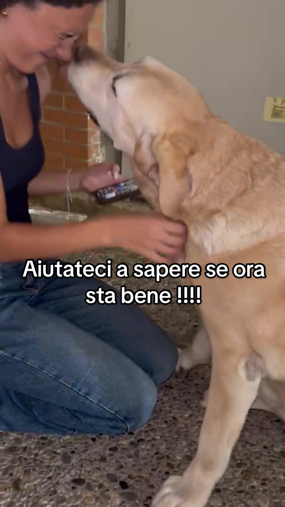 @Maria Giulia D’Angelo