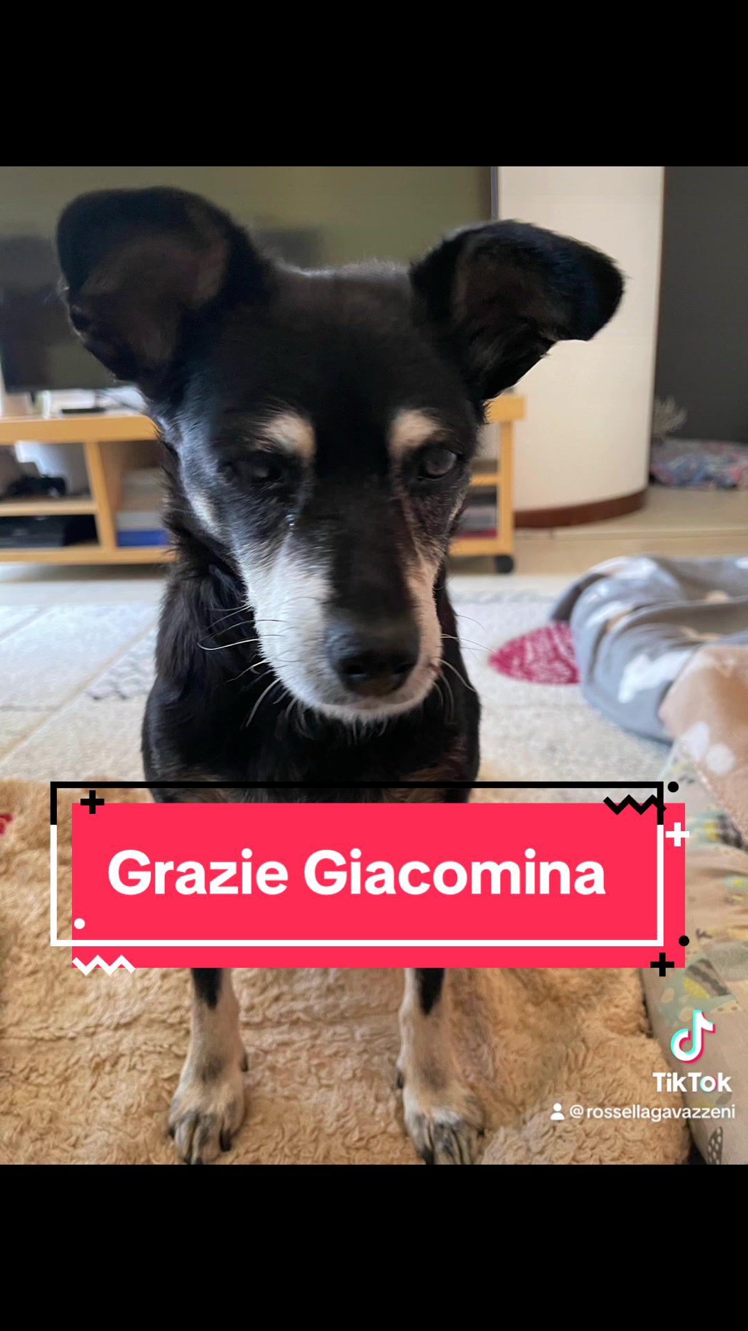 @Giacomina, la vecchia!!
