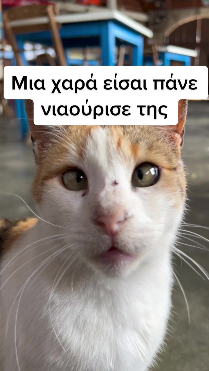@George Skiadopoulos