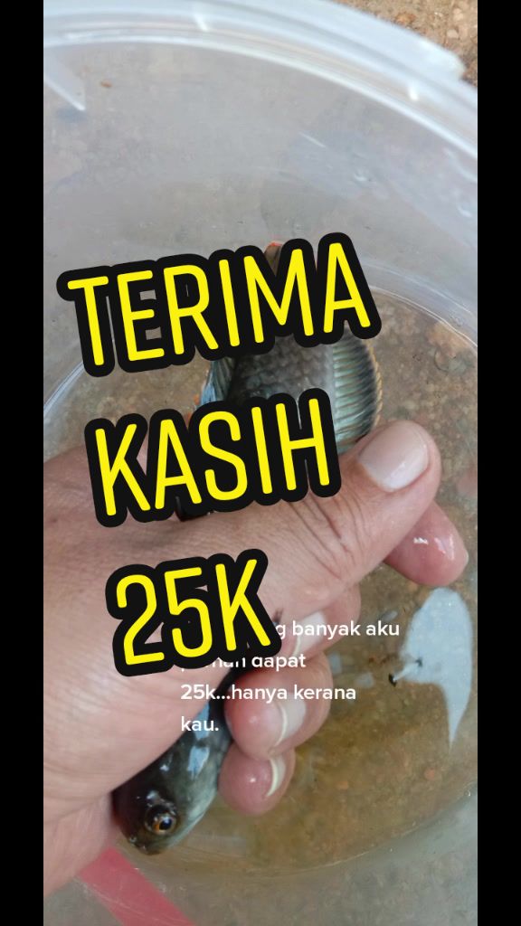 @Pujiqka 🙃