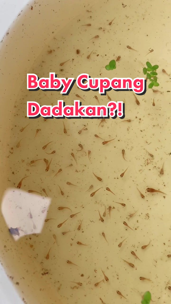 @A cup of