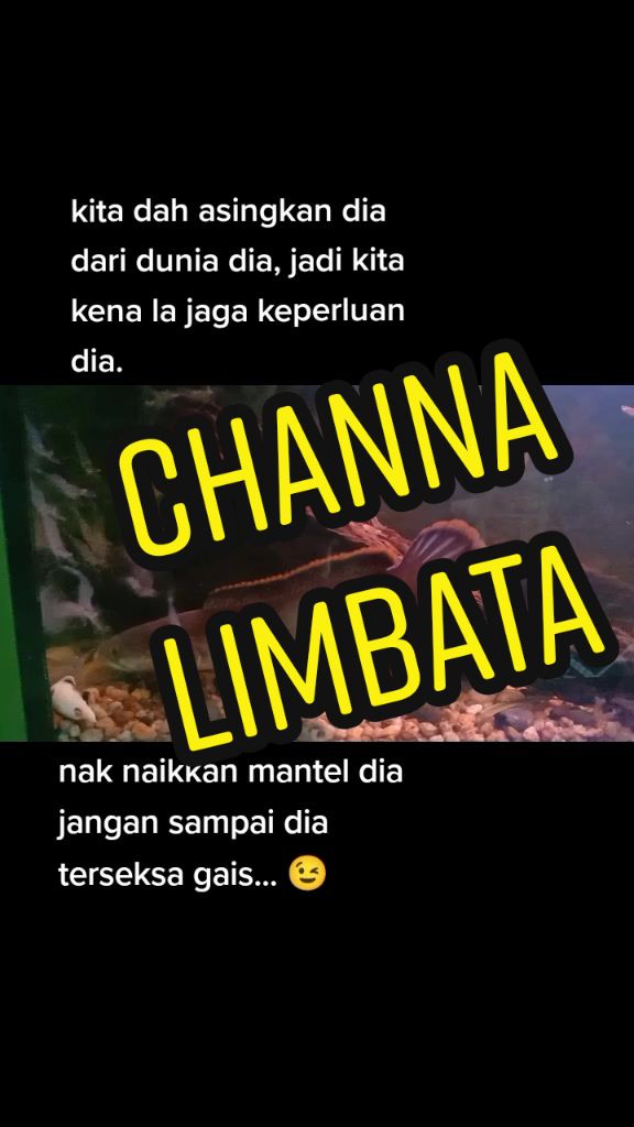 @Pujiqka 🙃
