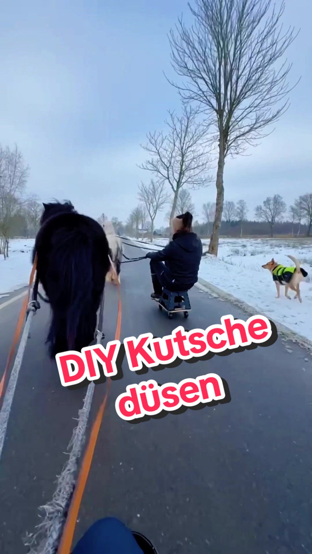 @Svenjaundclippy