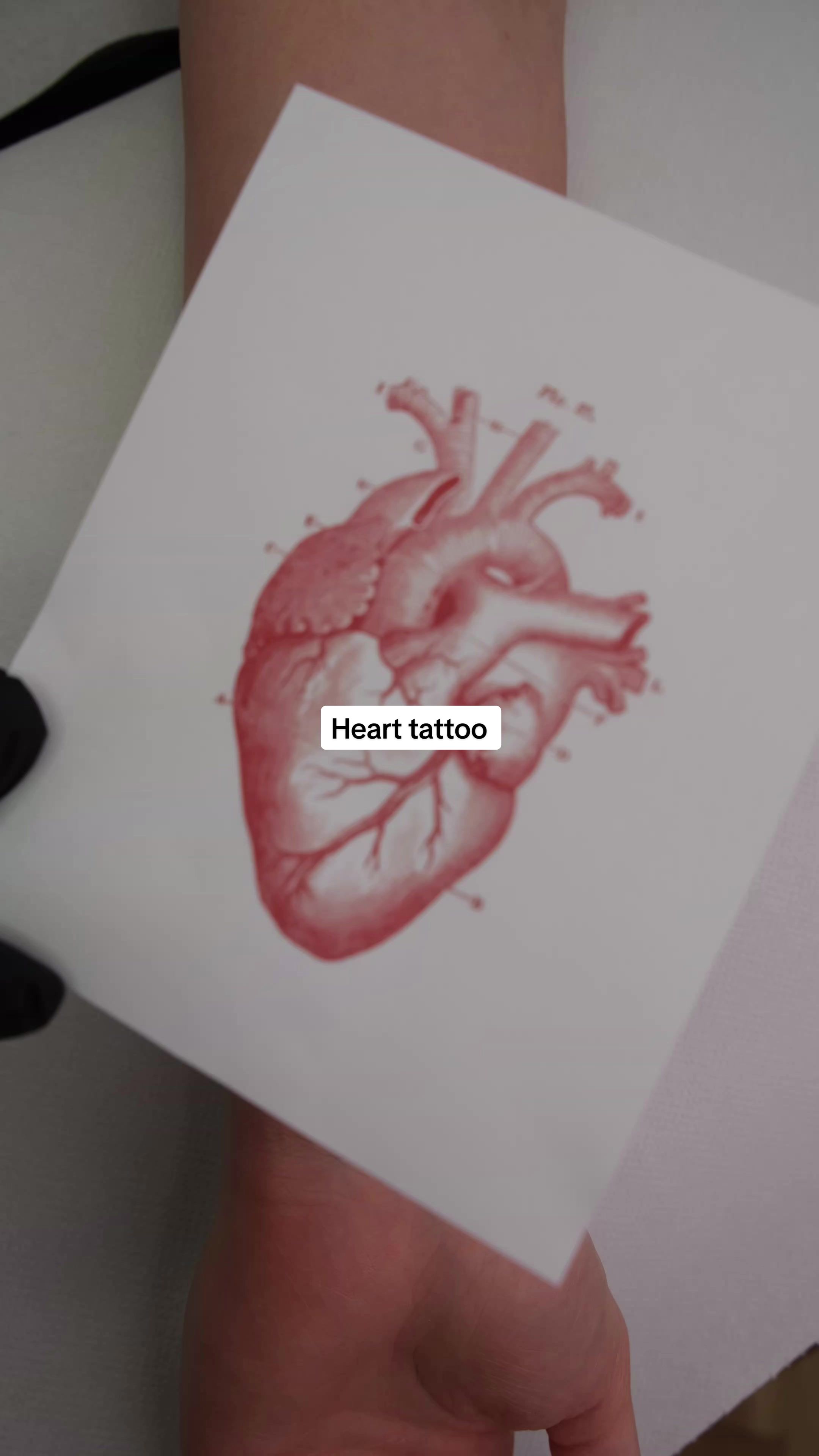 @catkatartist