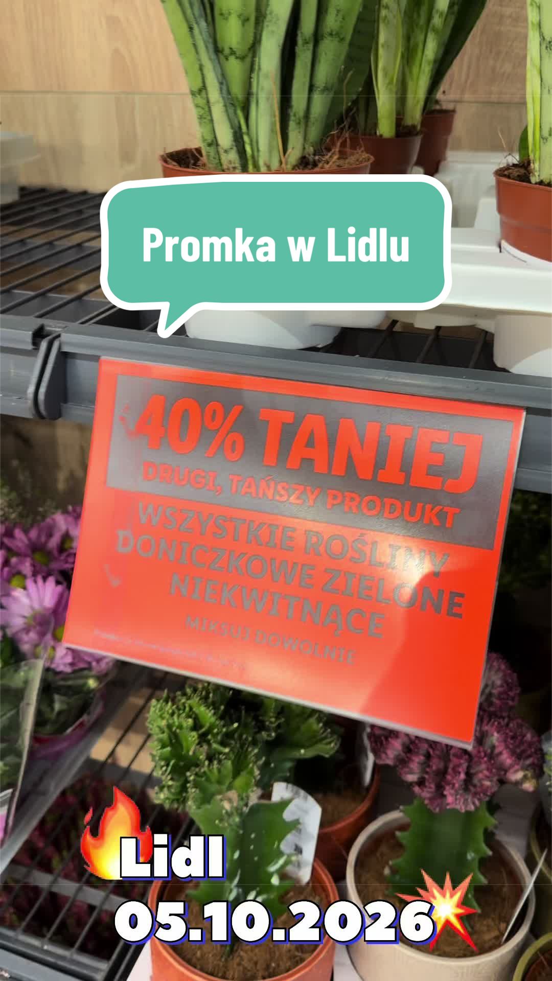 @maciej.plants