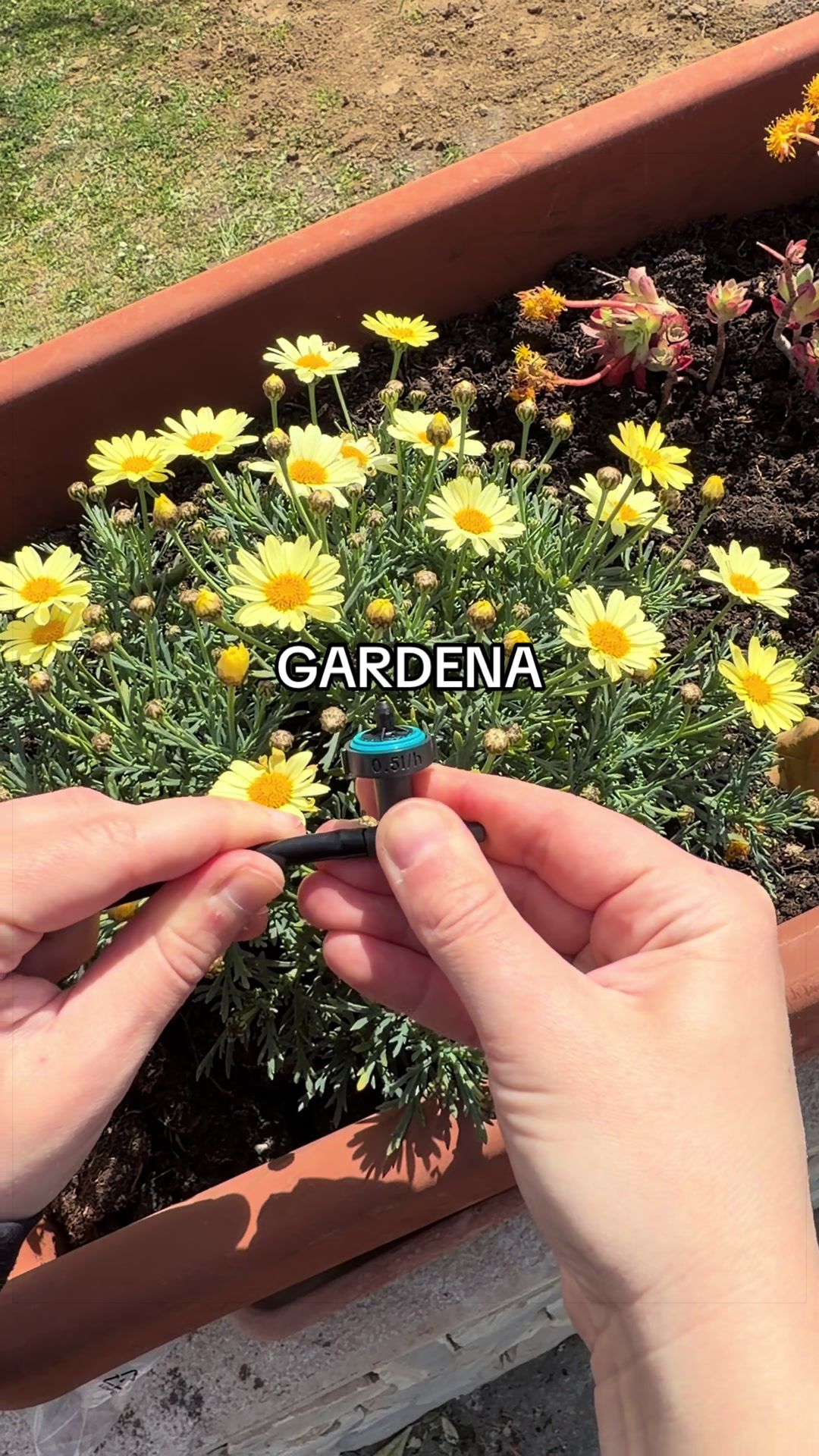 @Martina | MAMA 🌻