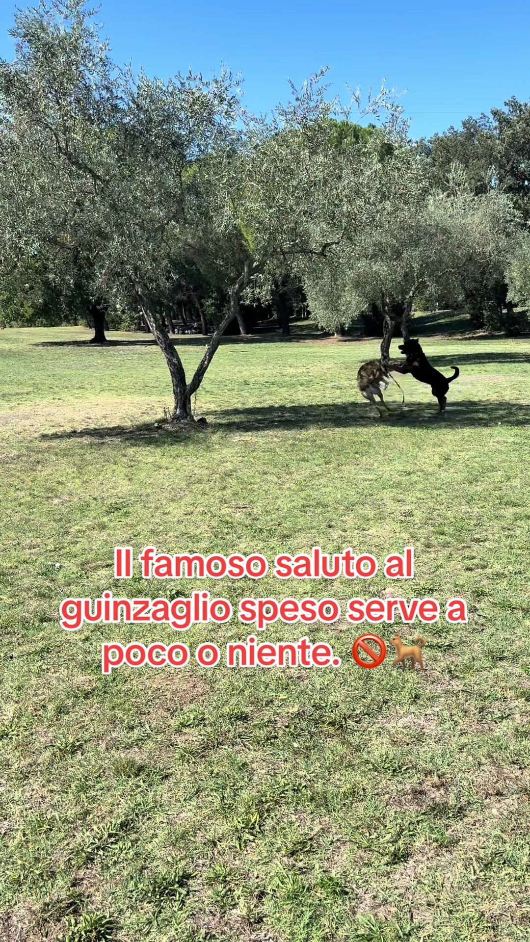 @Le avventure di Thor 🌪️ w ❤️