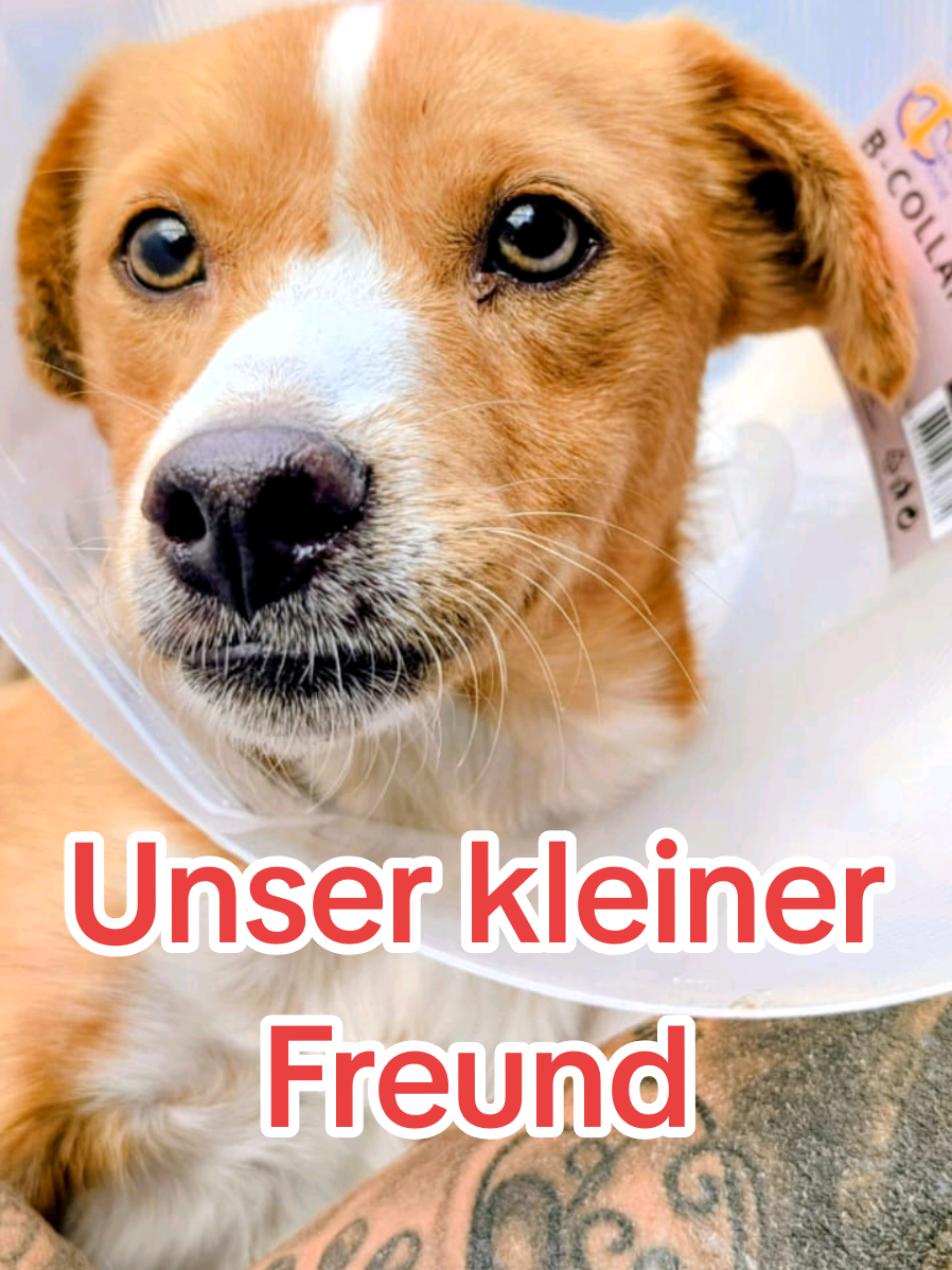 @ShelterBande