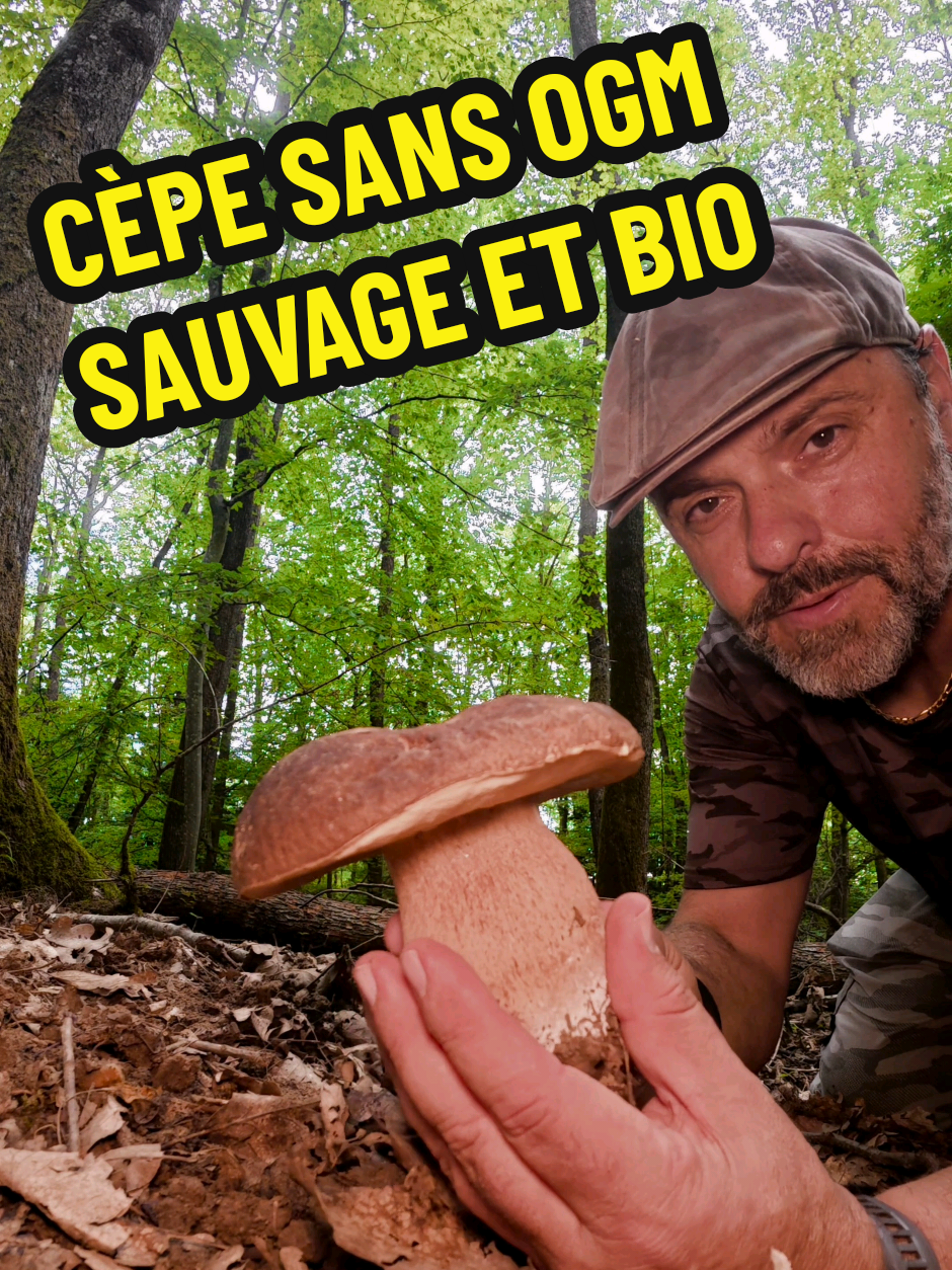@Dan 🍄🟫 Le Champologue