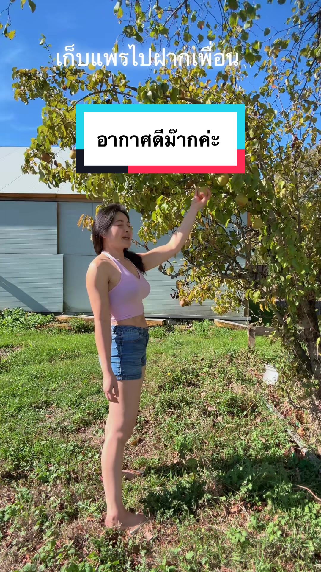 @Ningollie
