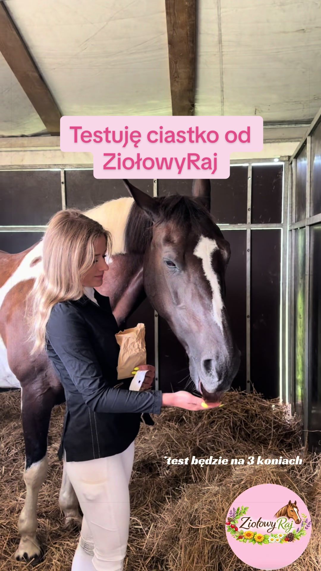 @Harmonia Jeździectwa