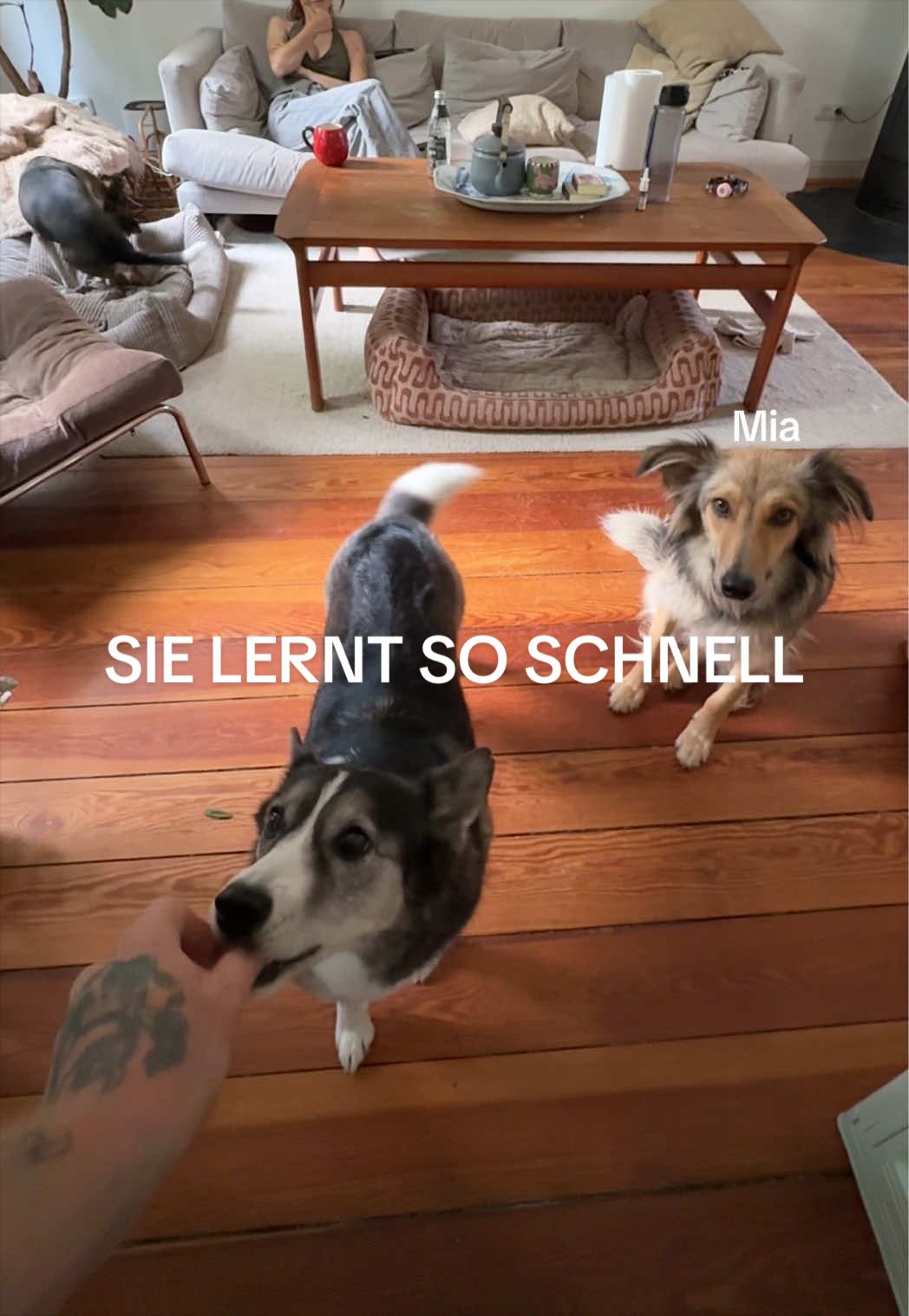 @Malte Zierden