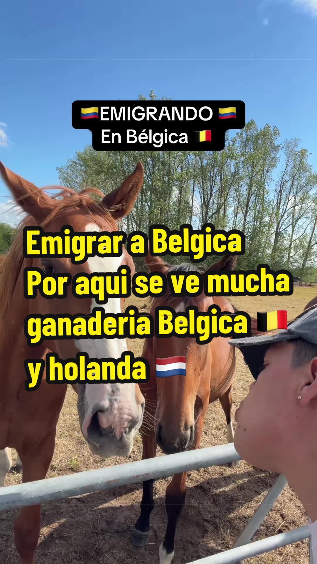 @bruselassinfiltro🇨🇴🇧🇪