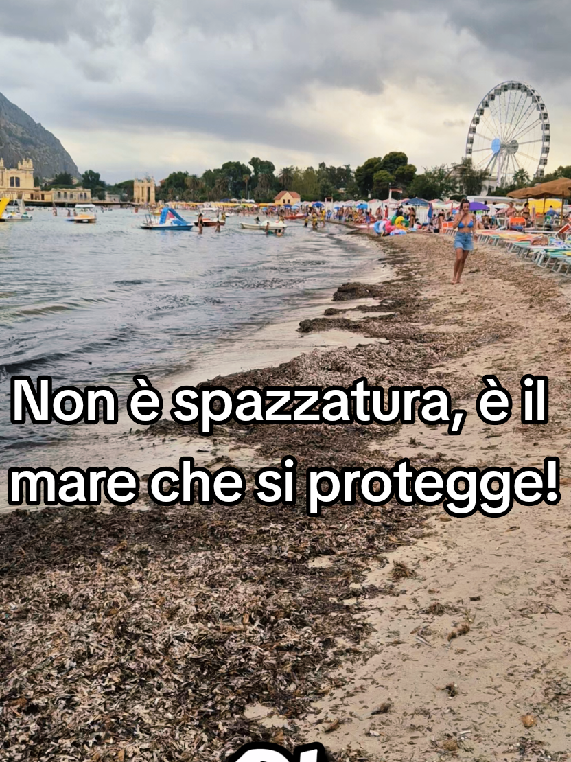 @Alessandro Maurici