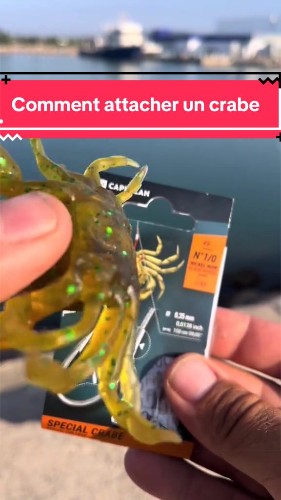 @crazybigbaits