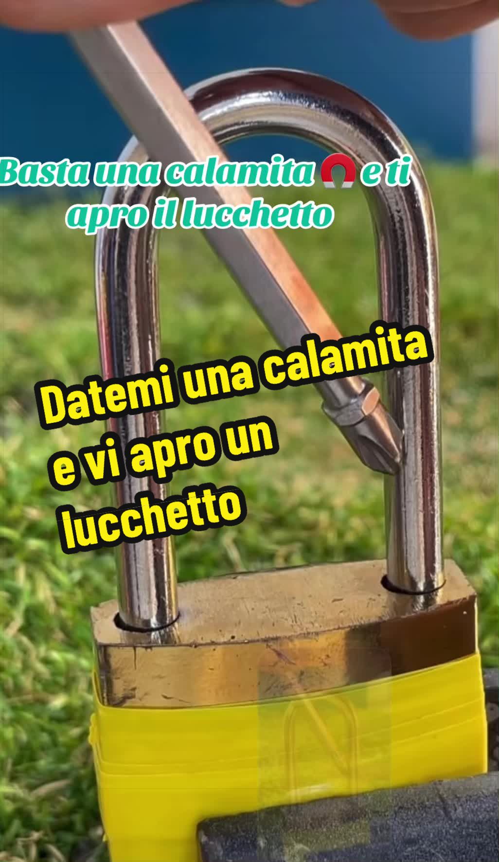 @Alessandro Cuomo ♌️