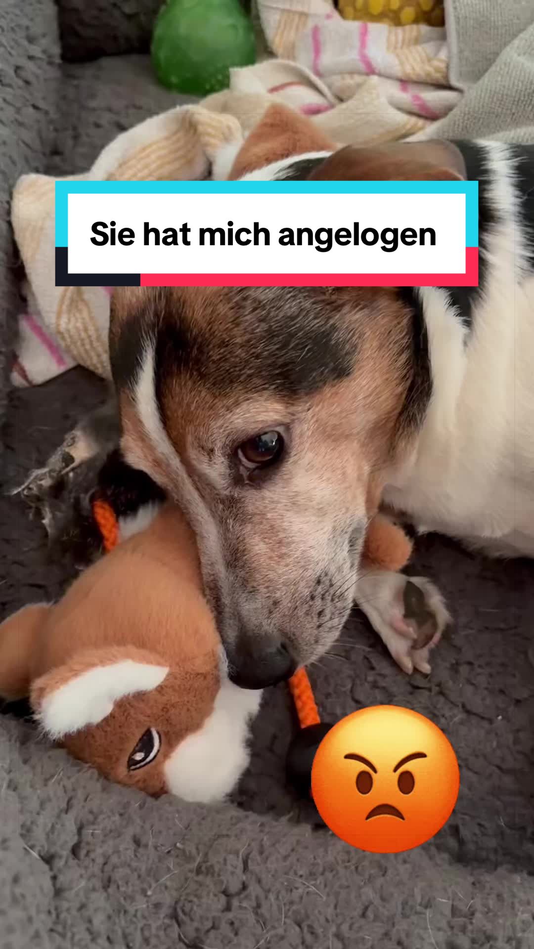 @Rocky und ich