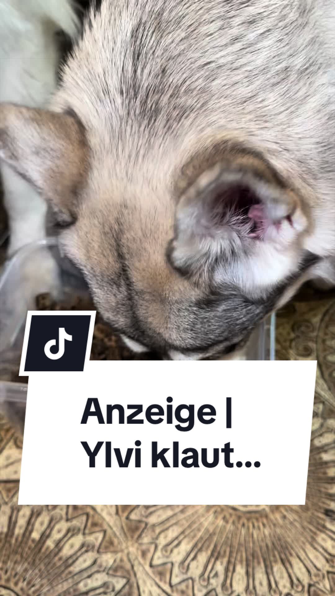 @Coco & Ylvi