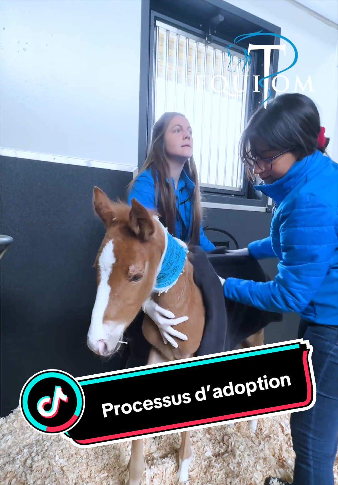 @Equitom